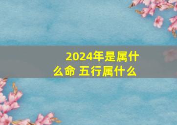 2024年是属什么命 五行属什么